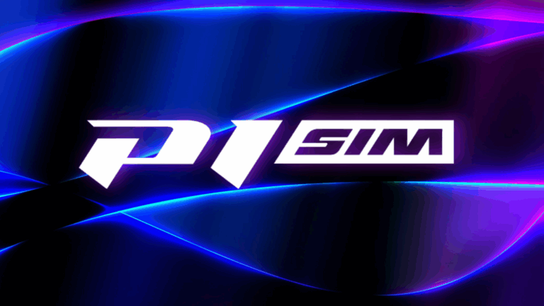 P1 SIM COVER