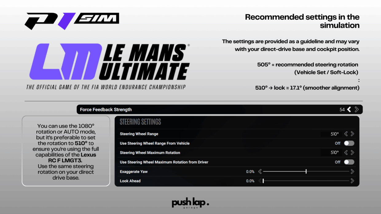 P1 SIM LMGT3 CARS - LEXUS RC F LMGT3