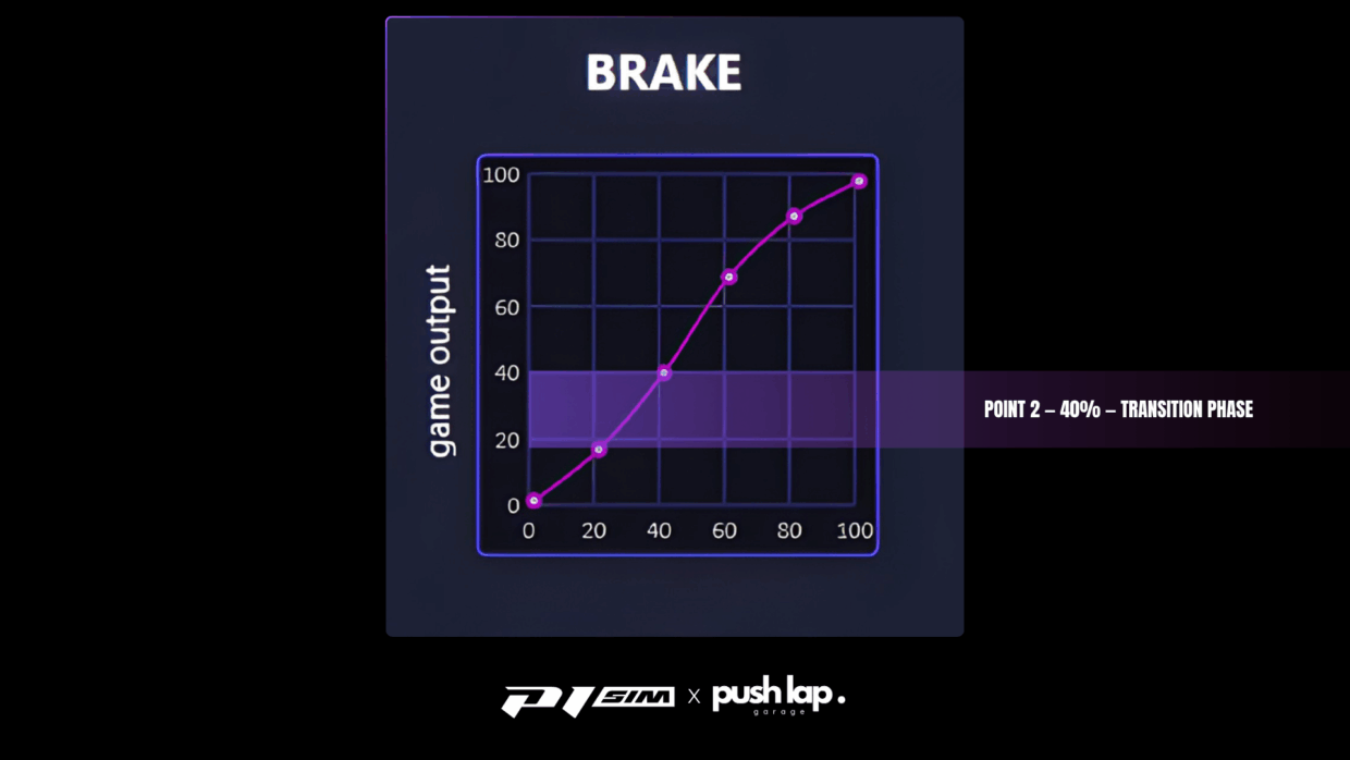 P1 SIM - ZONE 2 BRAKE