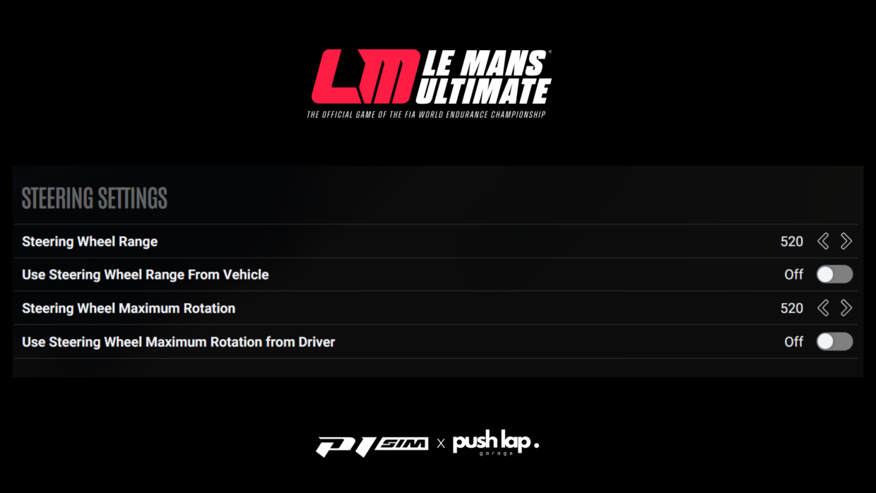 P1 SIM - FFB LMU Rotation - 2