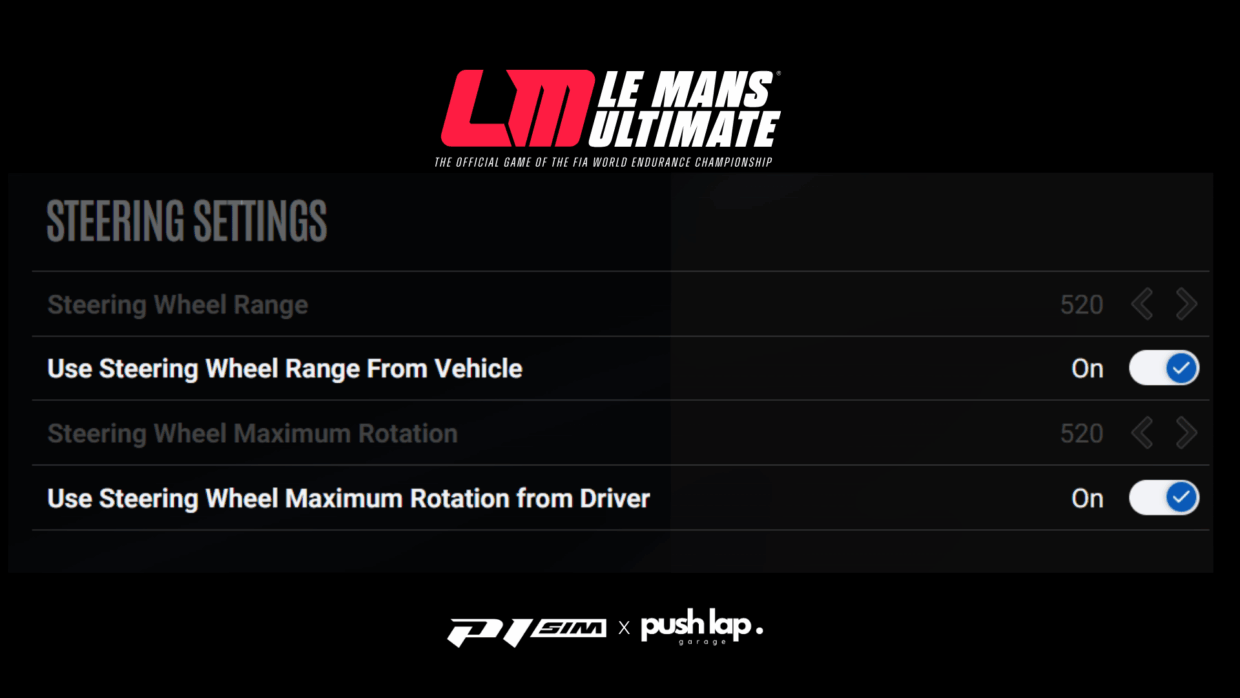 P1 SIM - FFB LMU Rotation