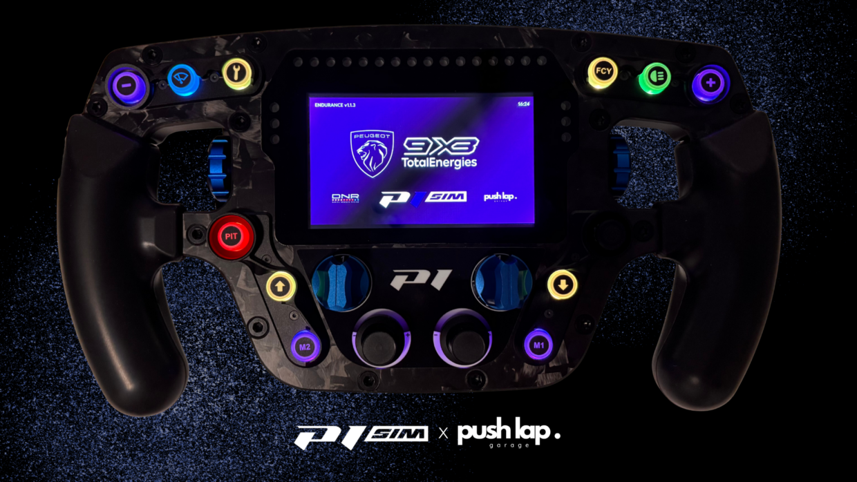 P1 SIM EAU ROUGE DNR DASH BOARD